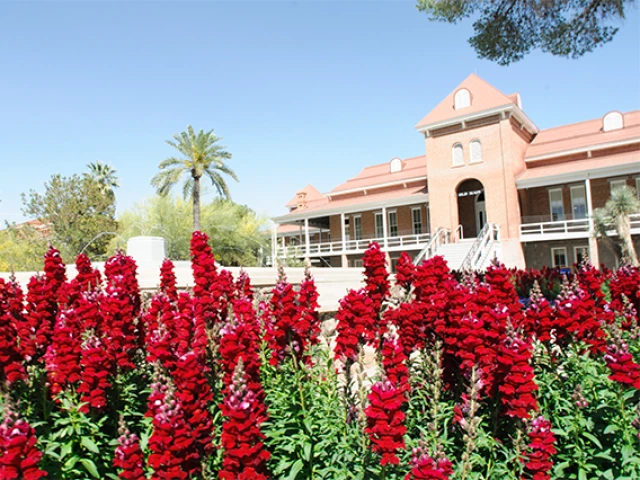 University of Arizona Old Main building against a blue sky, with red flowers in the foreground.